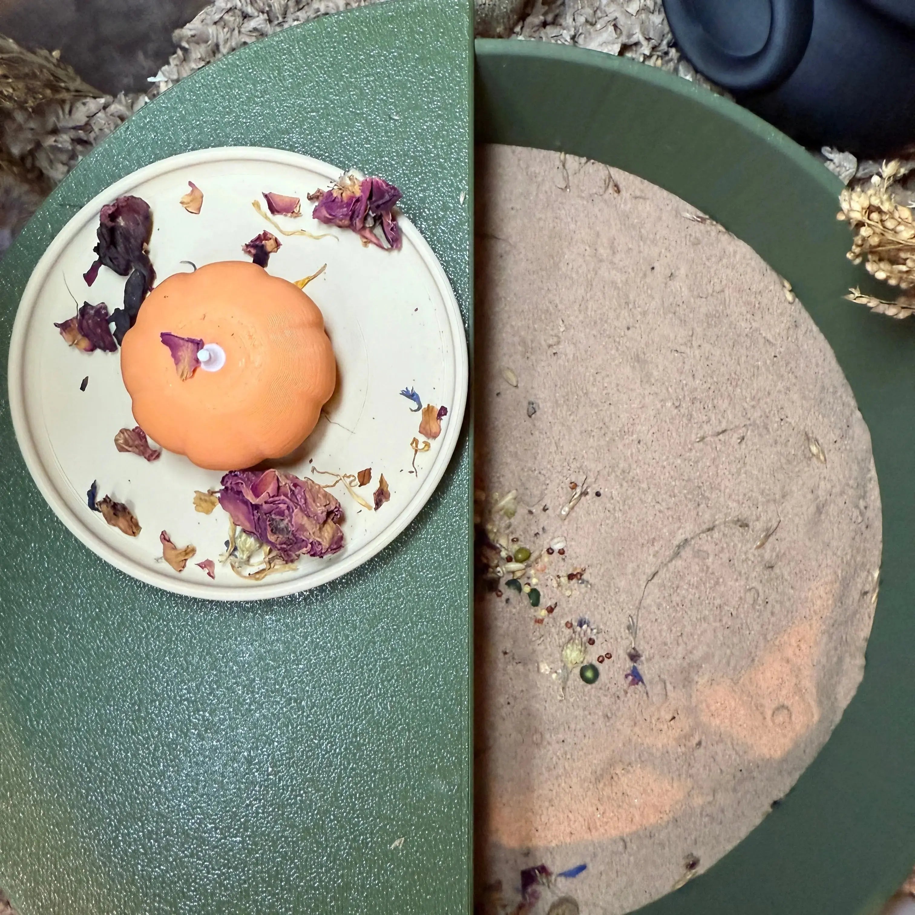 PLA sand bath designed for hamsters, placed on a stable enclosure platform