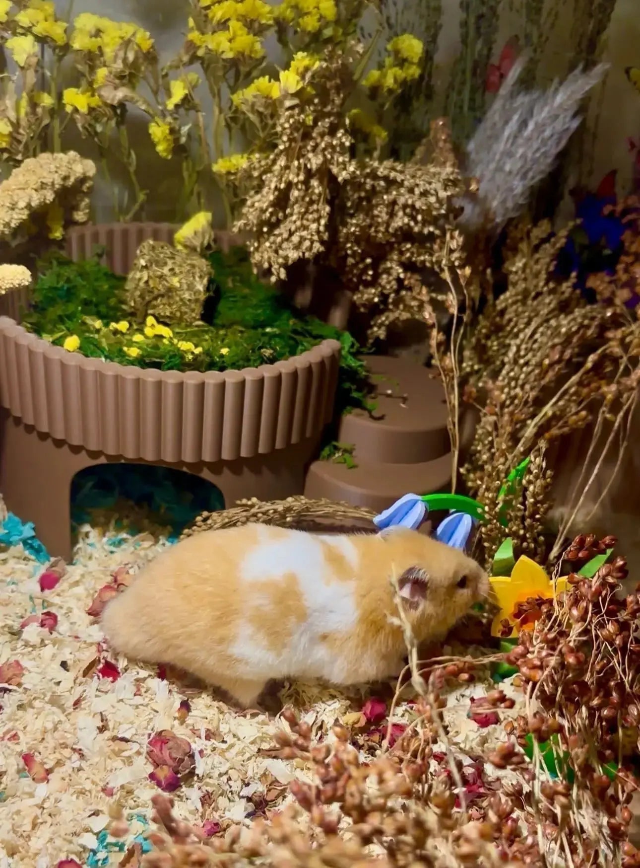 hamster hide, hamster cage hide, eco friendly  hamster hide, hamster hideout