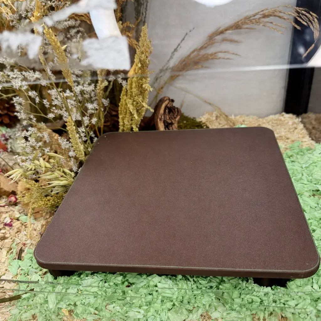 Platform in hamster enclosure