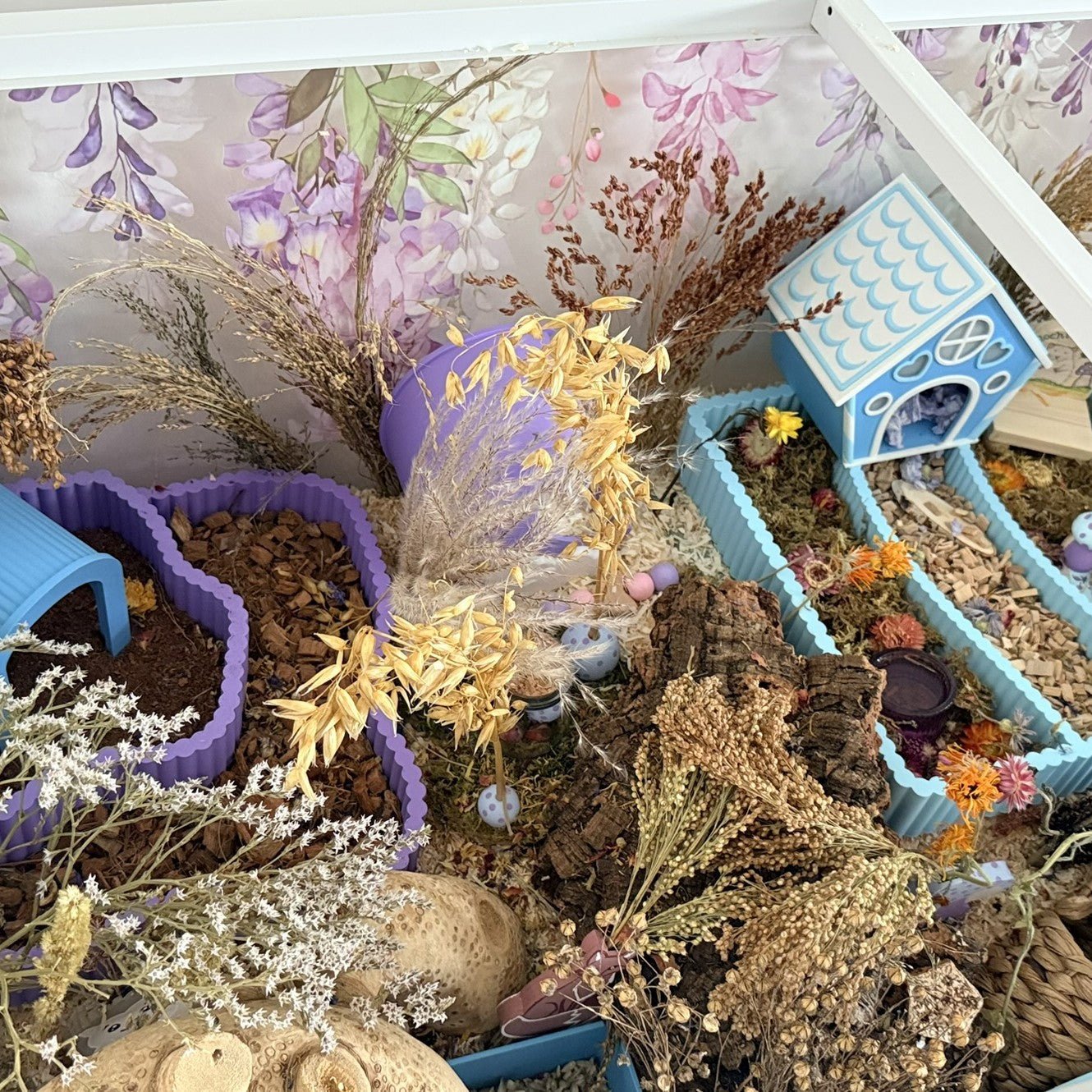 Hamster Accessory Safety: How to Choose Safe Hides, Tunnels & Enrichment - RoseLark