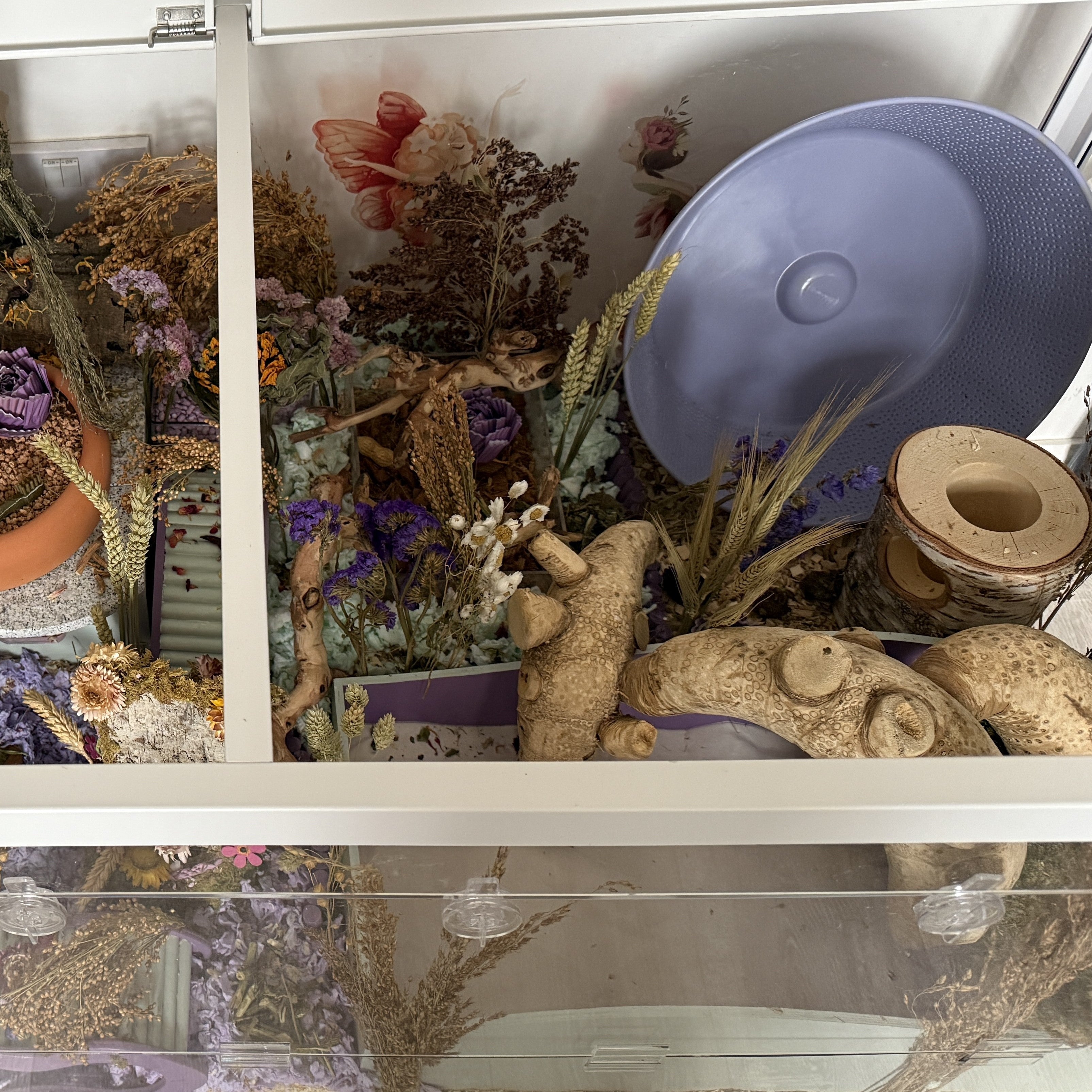 Hamster Enclosure Setup: What You Actually Need (Simple Guide) - RoseLark Pet Products
