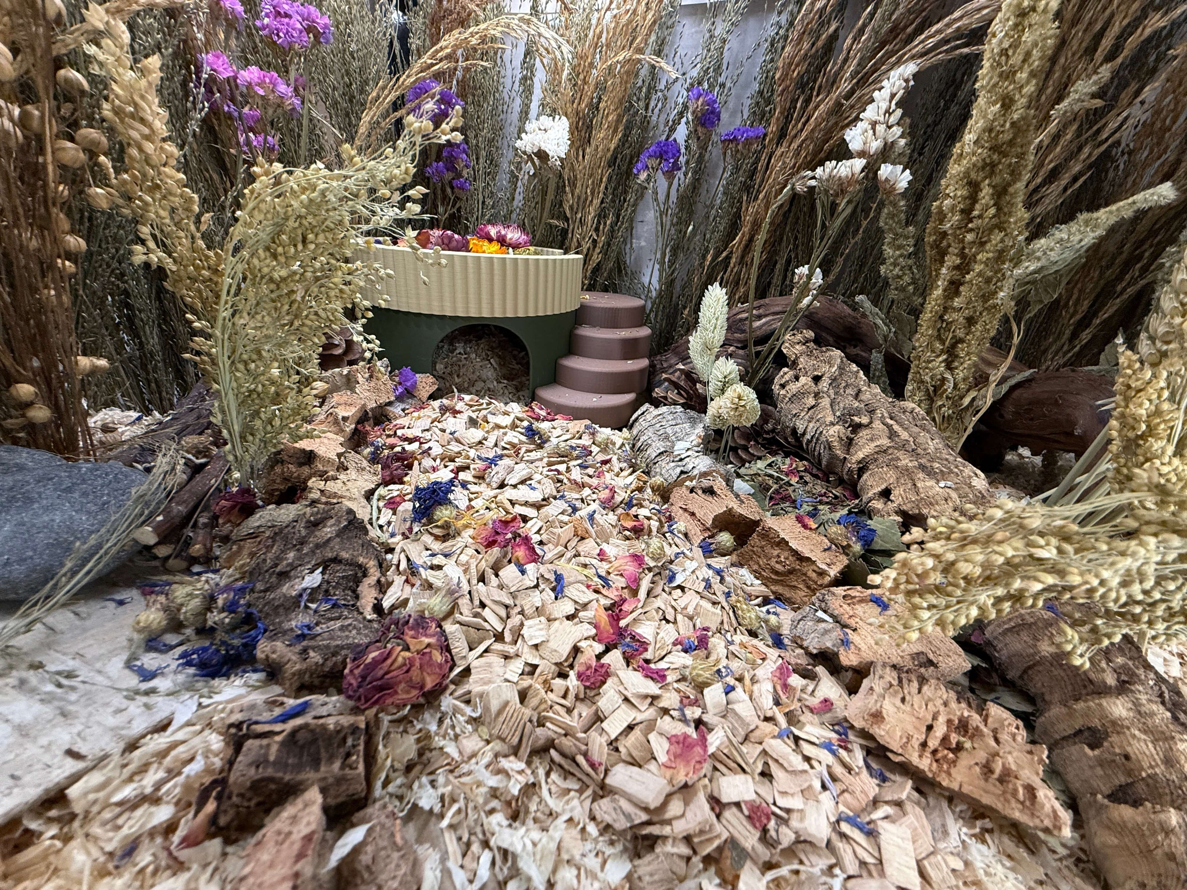 Hamster Sprays: What They Are, Why They Matter & How to Use Them - RoseLark Pet Products