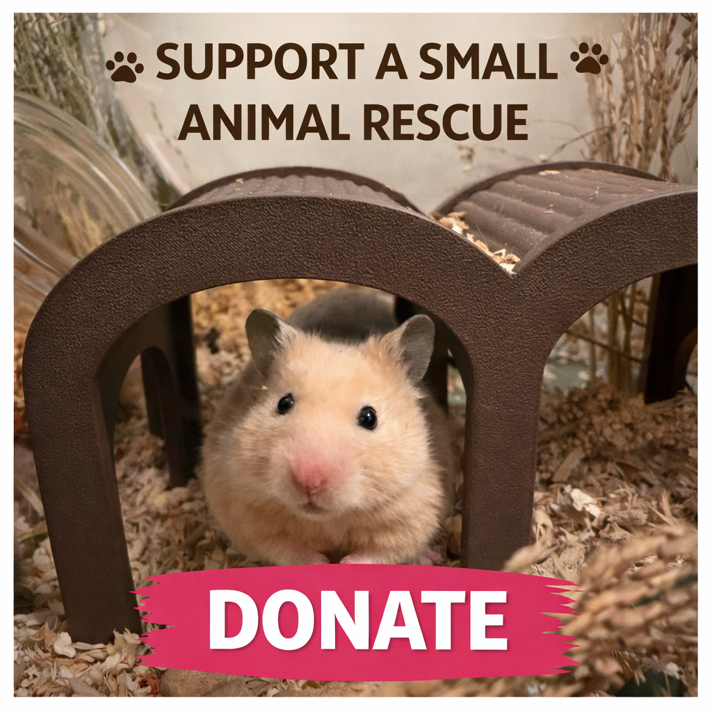 Hamster under arched hideout with donation appeal