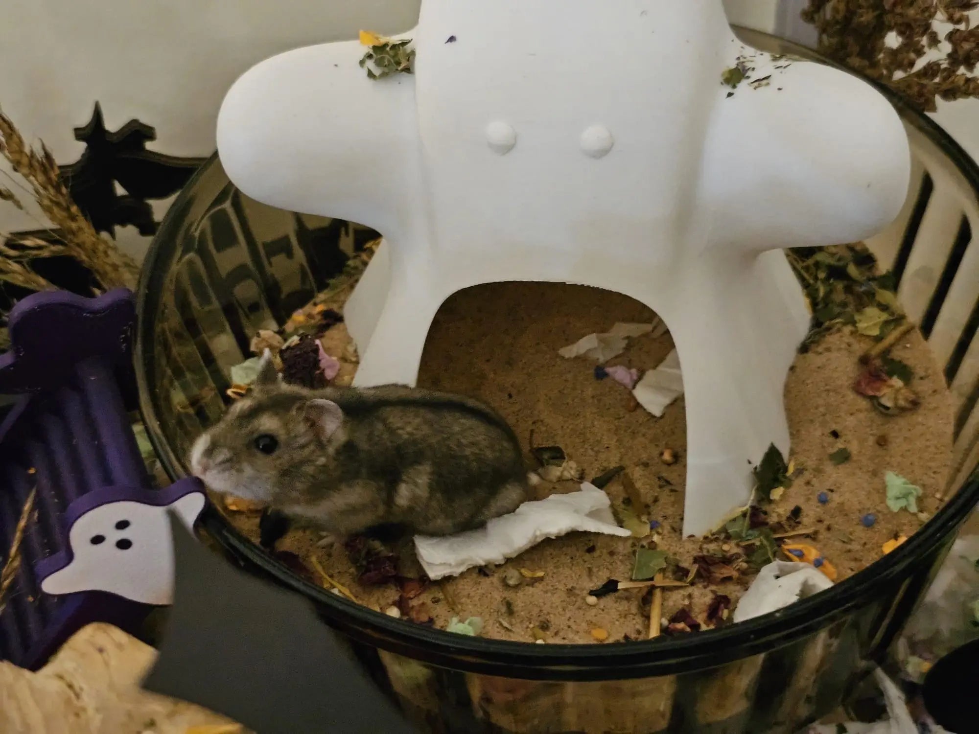 Ghost Hideout: Hamster and Small Pet Hide RoseLark Pet Products