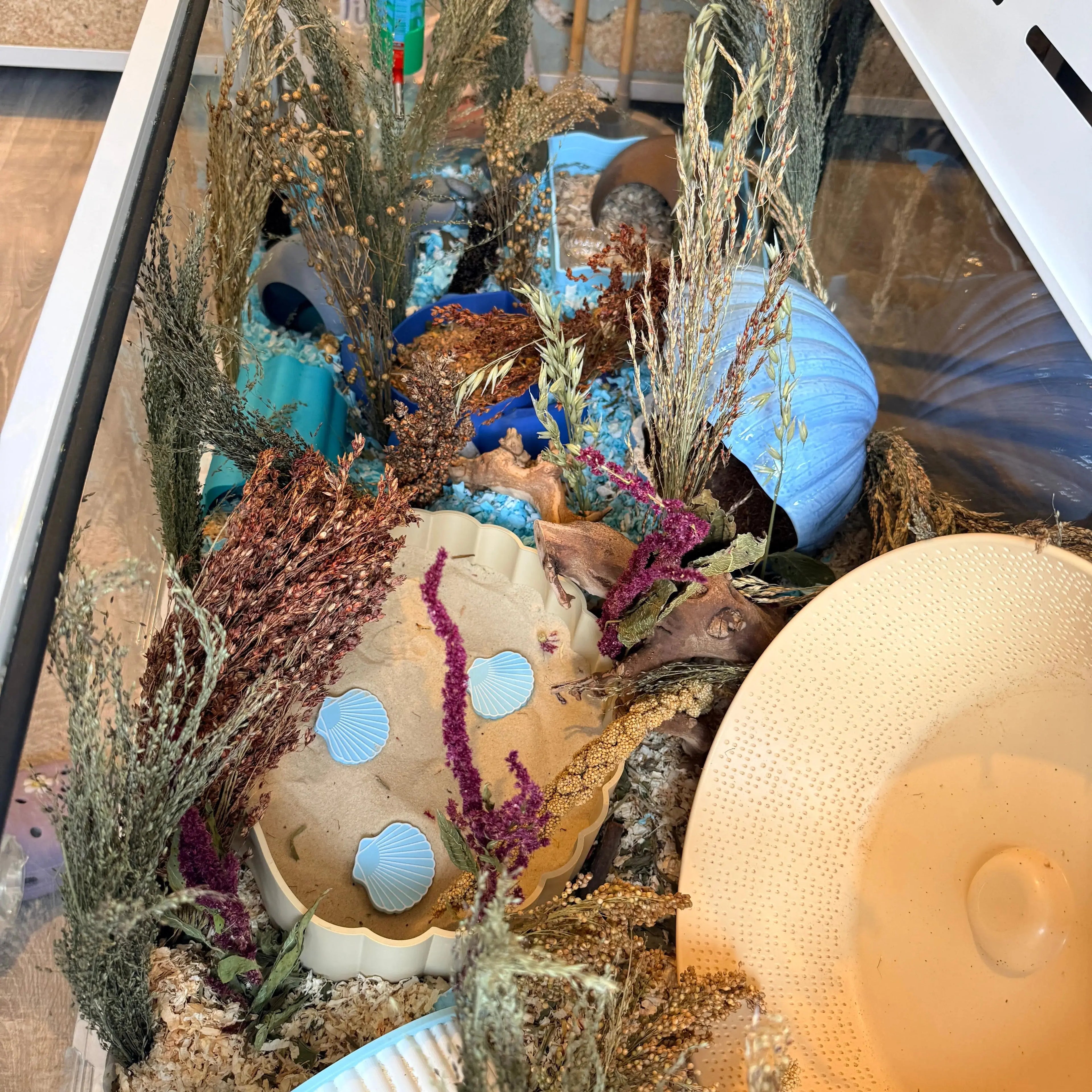 Full Enclosure Starter Bundle – Sprays & Substrate Pack RoseLark Pet Products