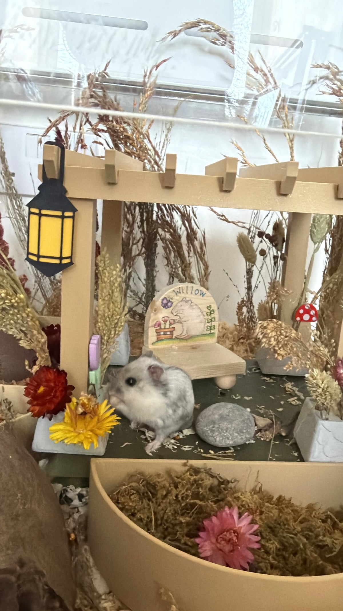 Enchanted Garden Pergola Hanging Decorations
