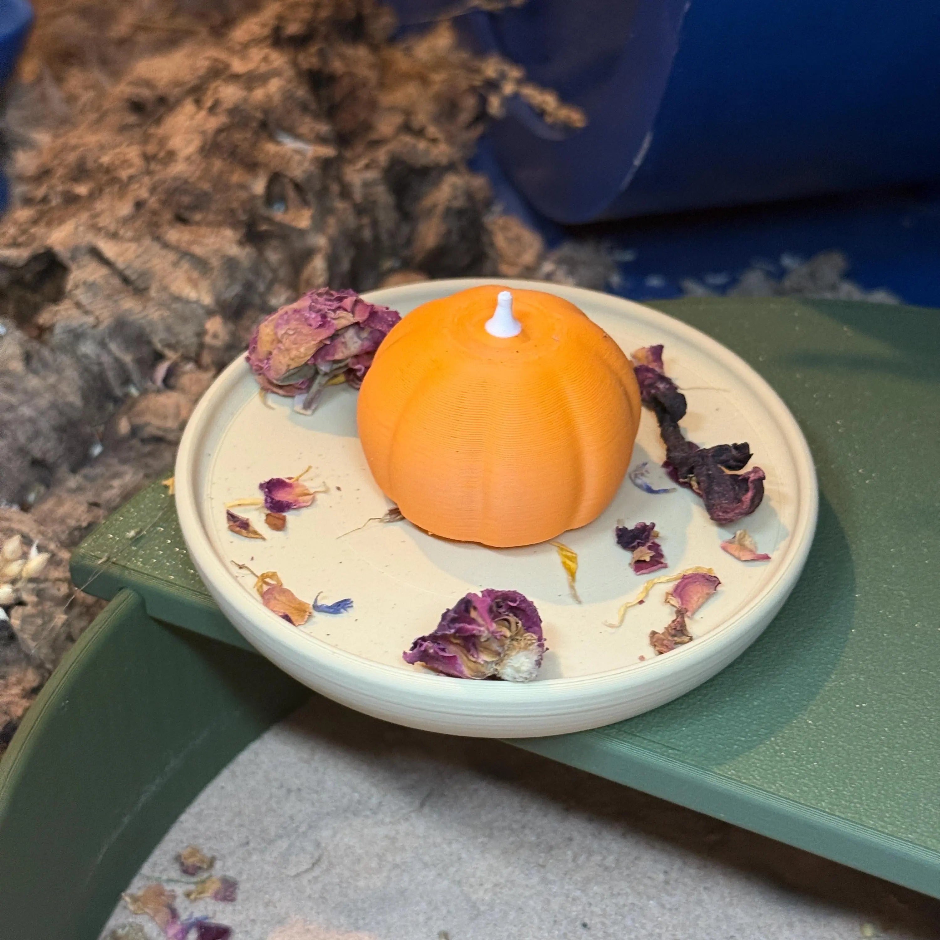 Pumpkin Plate RoseLark Pet Products