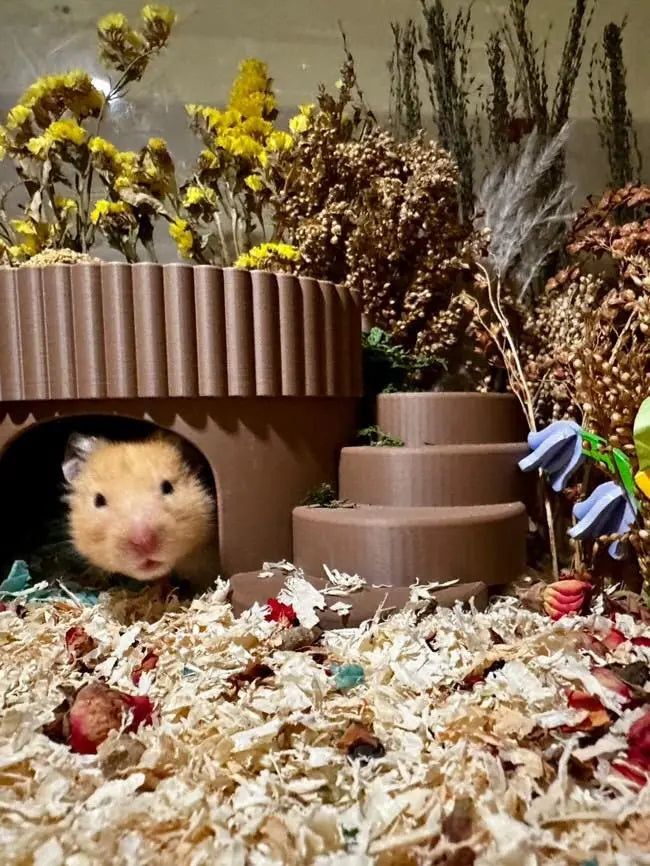 Round Small Pet Hideout with Stairs and Fence RoseLark Pet Products