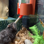 Water Bottle Holder for Bucatstate RoseLark Pet Products