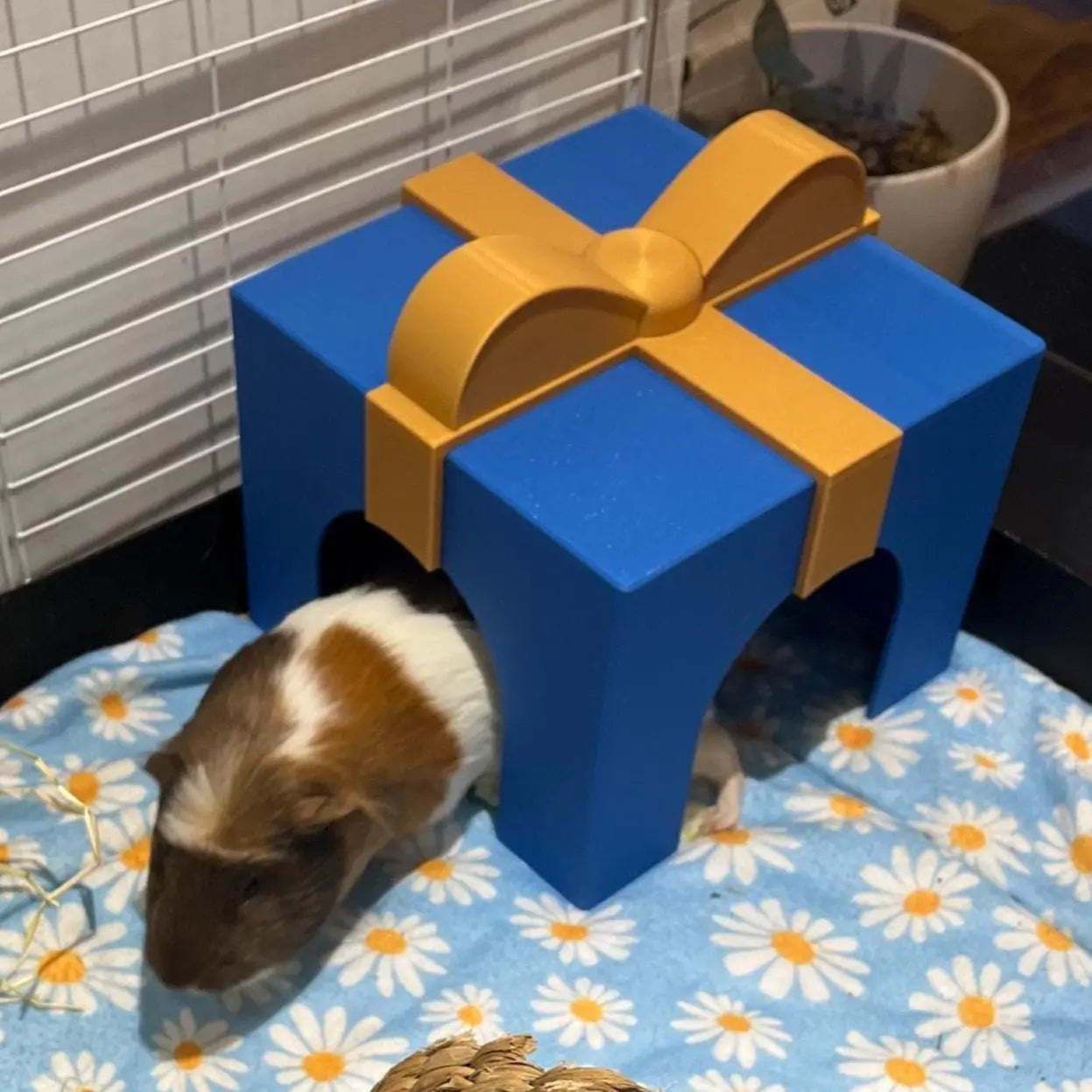 XL Present Hidey House RoseLark Pet Products