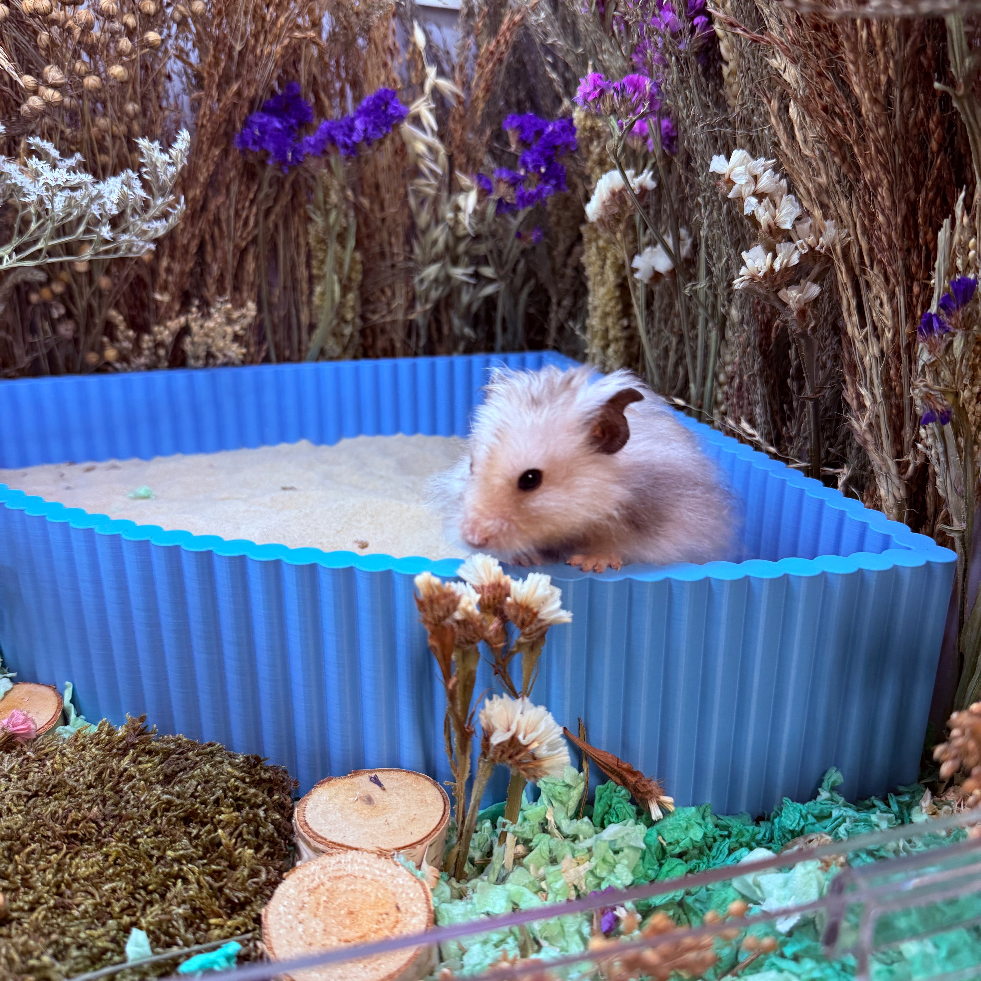 Corner Sand Bath for Hamsters