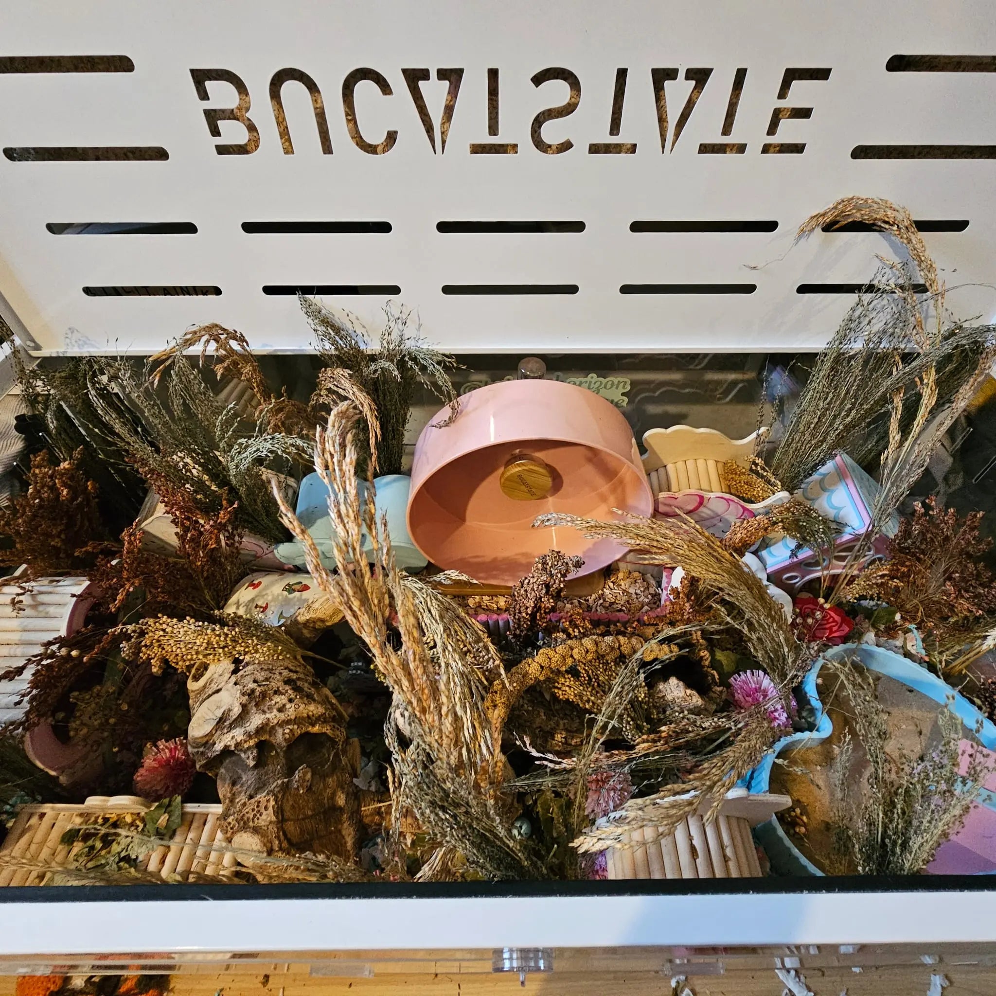 Decorative enclosure setup with sprays 