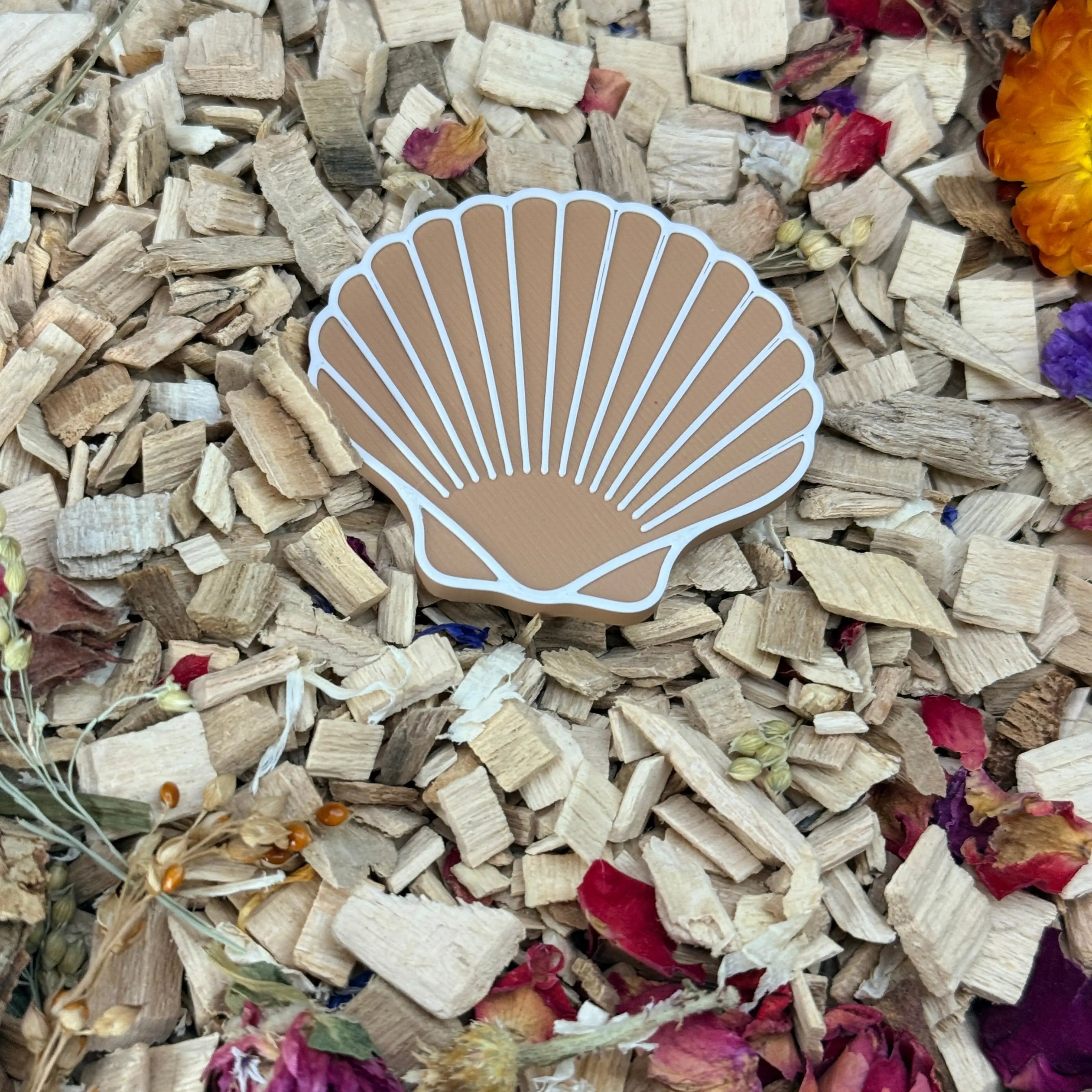 Seashell Stepping Stones – Enclosure Decoration (Set of 3) RoseLark Pet Products