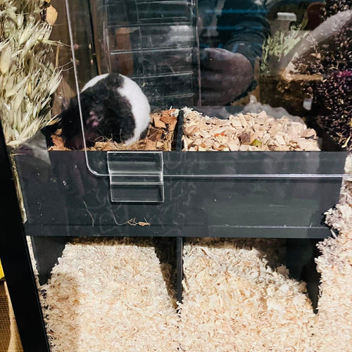 Hamster Hideout, Hamster Hideout House, Hamster Hideout Toy, hamster dig box, hamster digging box, hamster sand dig box, hamster dig box UK