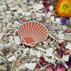 Seashell Stepping Stones – Enclosure Decoration (Set of 3) RoseLark Pet Products