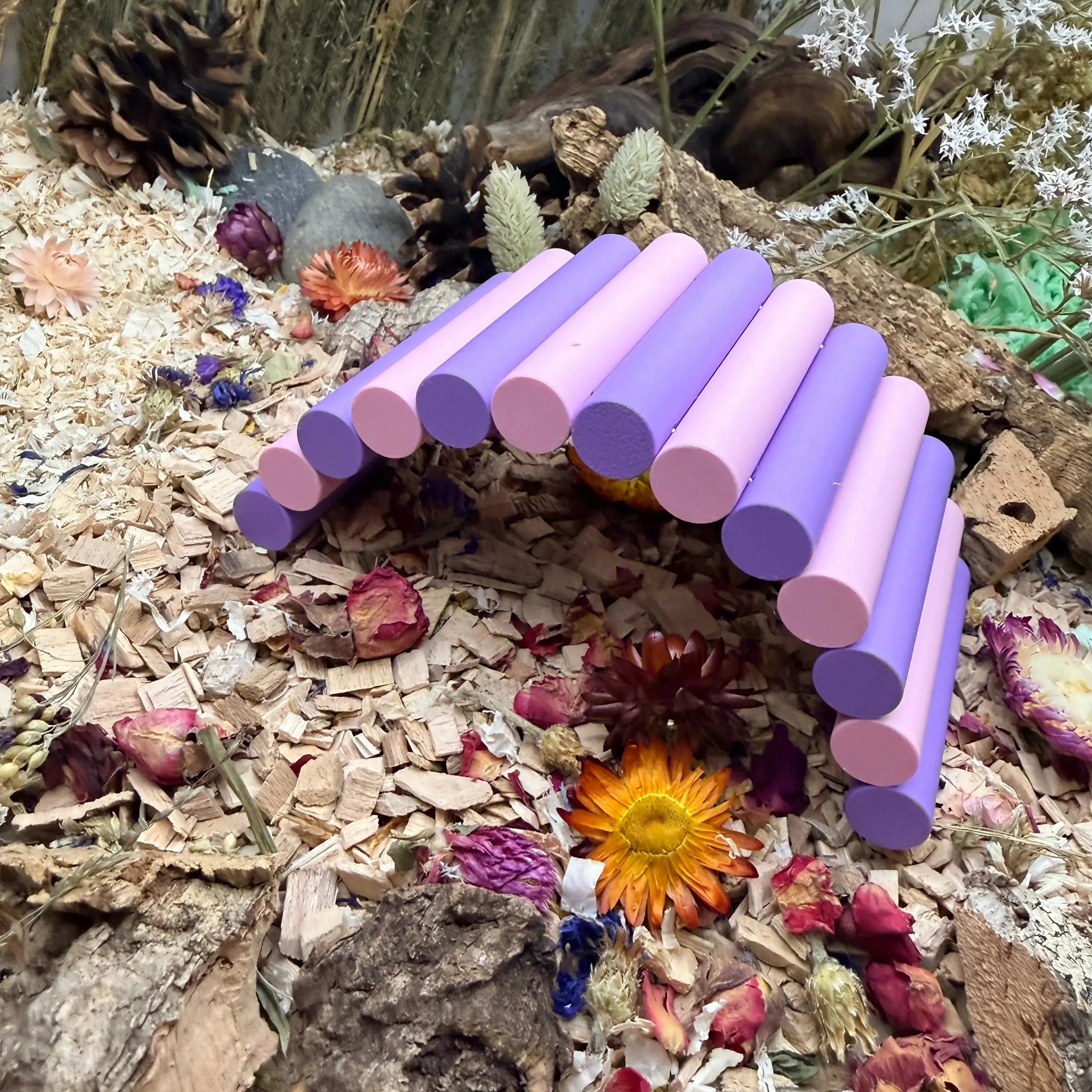 Bendy Bridge RoseLark Pet Products