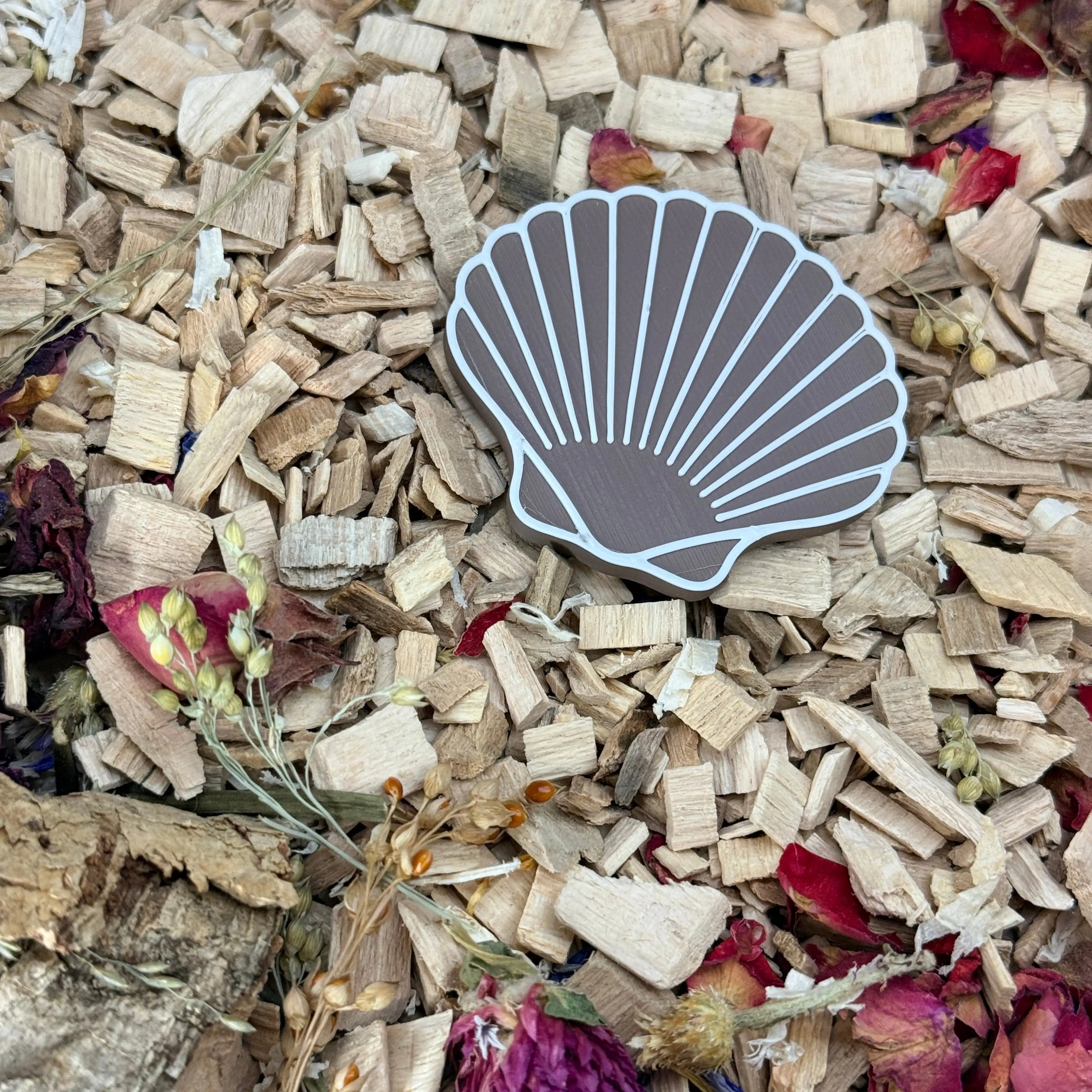 Seashell Stepping Stones – Enclosure Decoration (Set of 3) RoseLark Pet Products