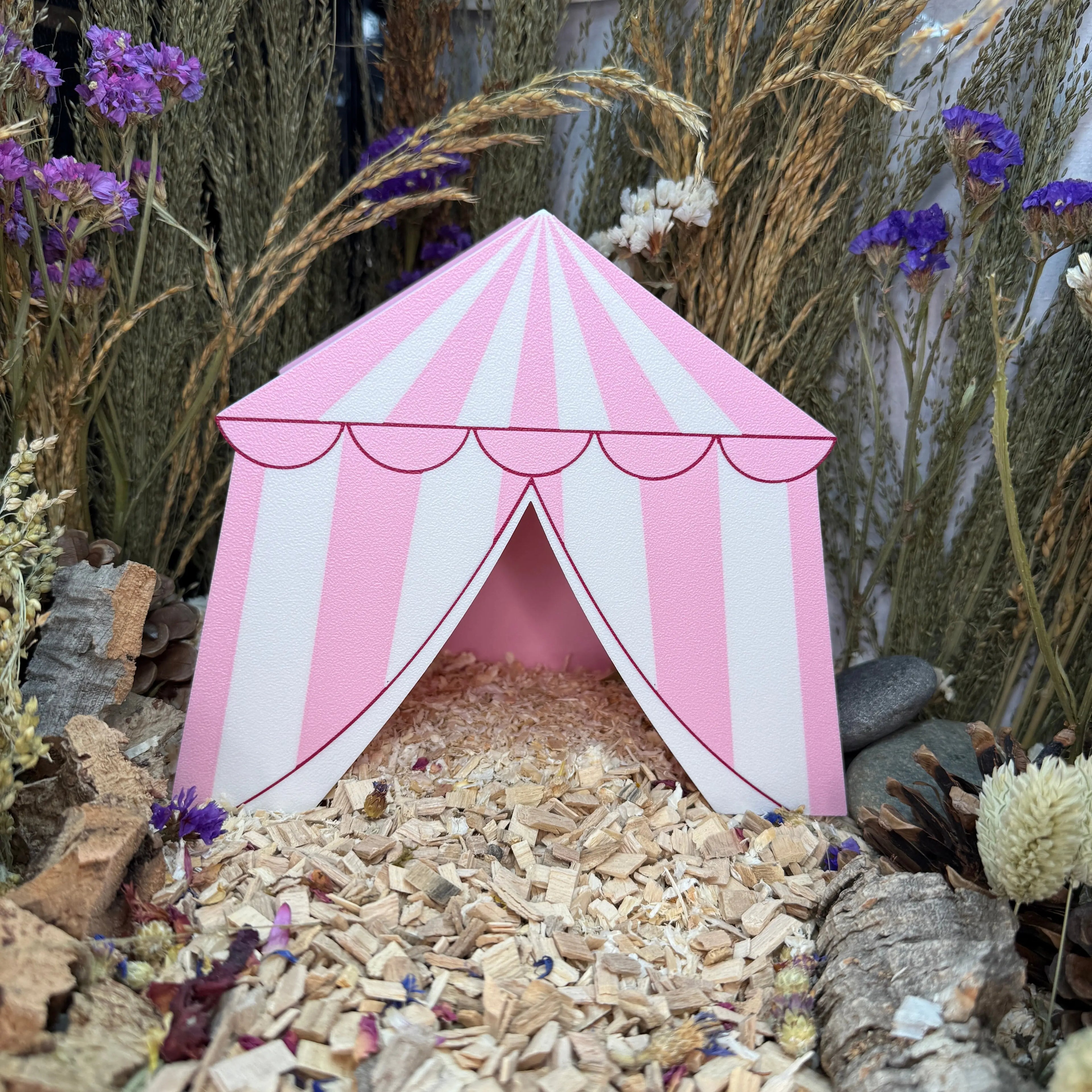 Marshmallow Marquee RoseLark Pet Products