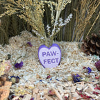 Hand-Painted Heart Spray Holder RoseLark Pet Products