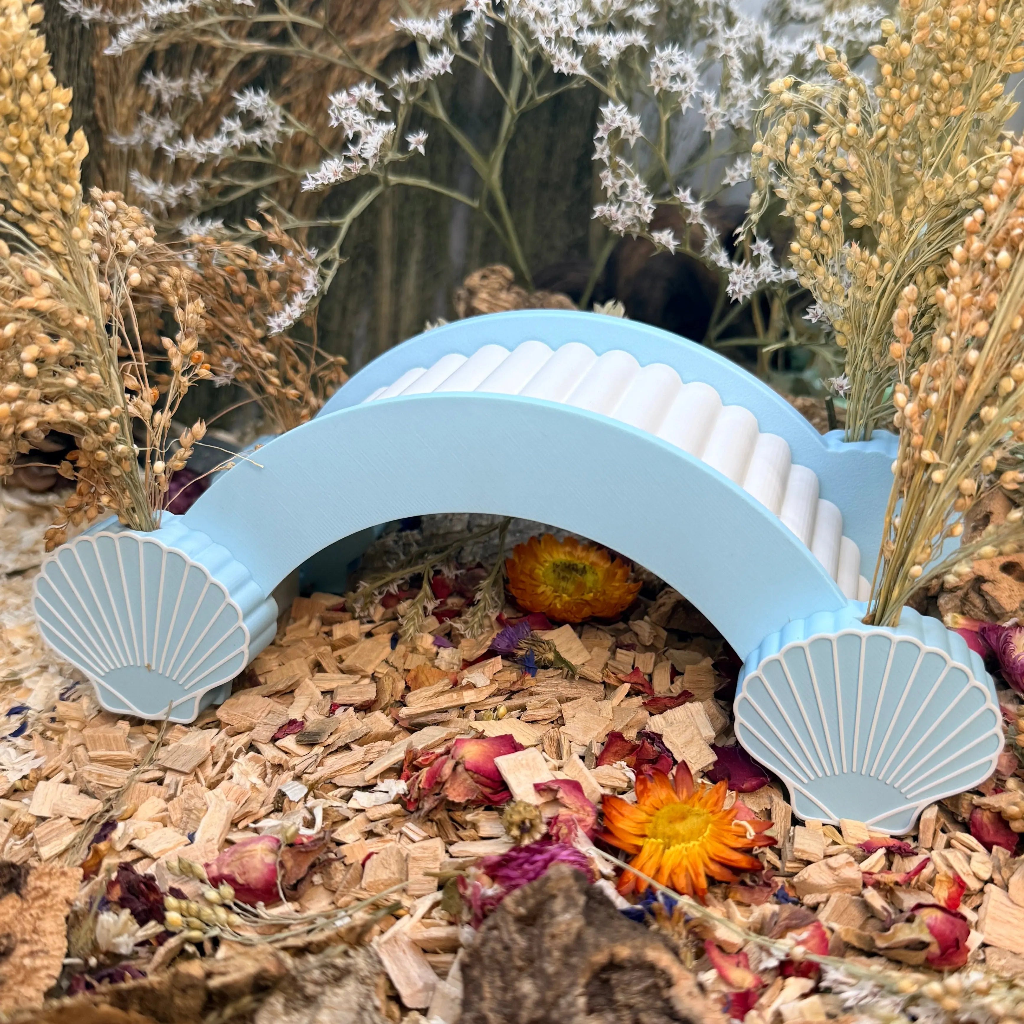 Seashell bridge spray holder for small pet enclosures holding dried sprays