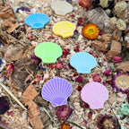 Colourful seashell stepping stones arranged on natural bedding with dried flowers