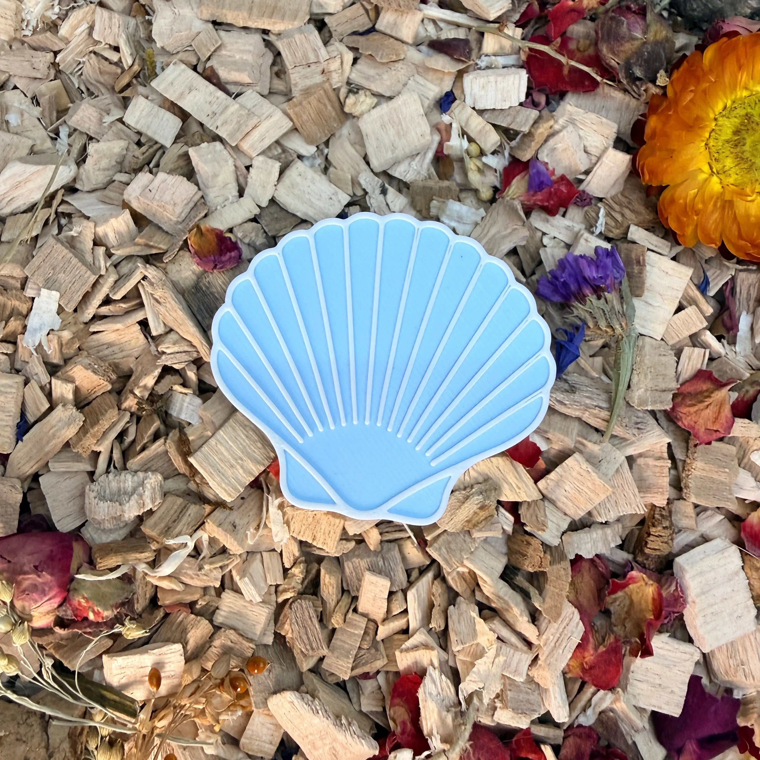 Seashell Stepping Stones – Enclosure Decoration (Set of 3) RoseLark Pet Products