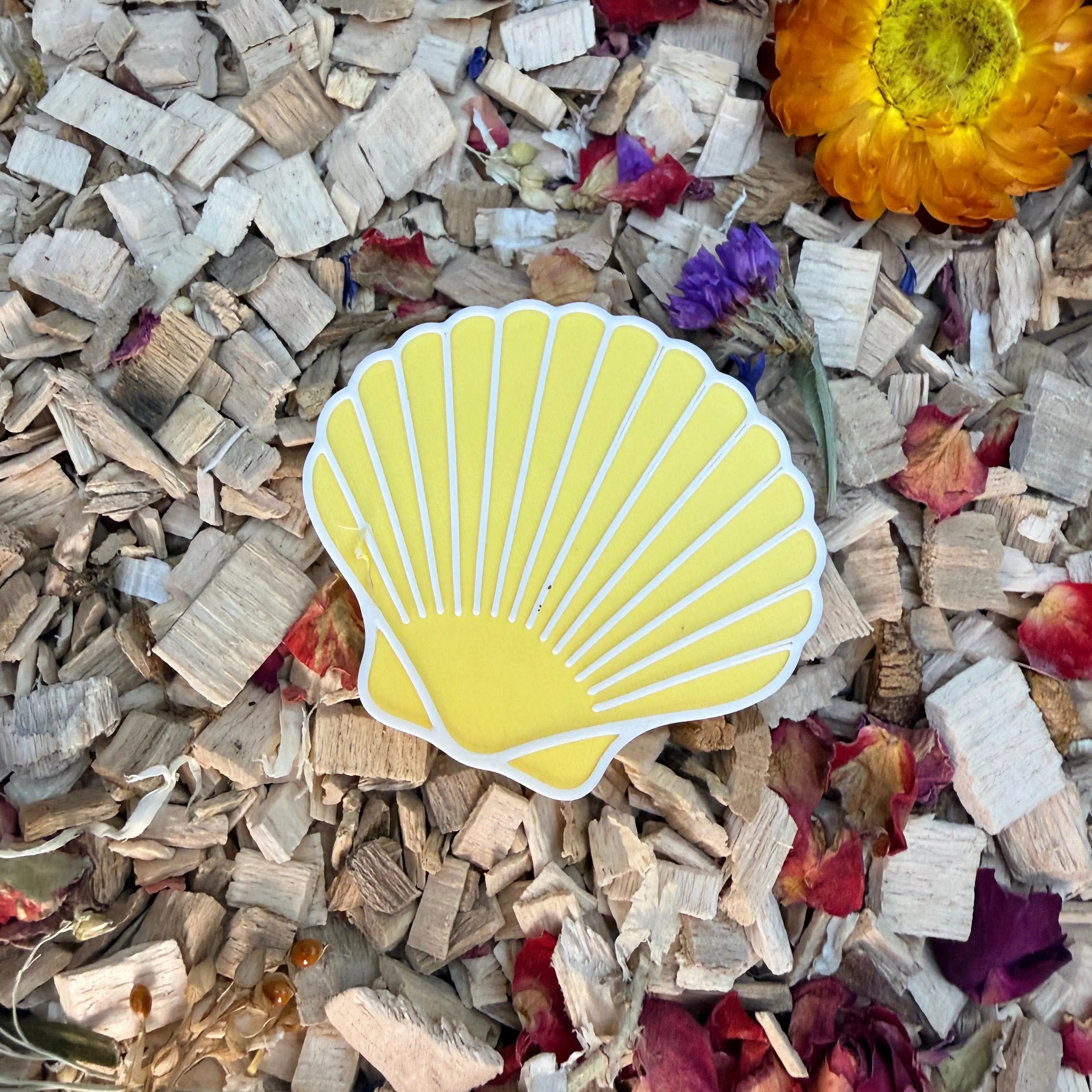 Seashell Stepping Stones – Enclosure Decoration (Set of 3) RoseLark Pet Products