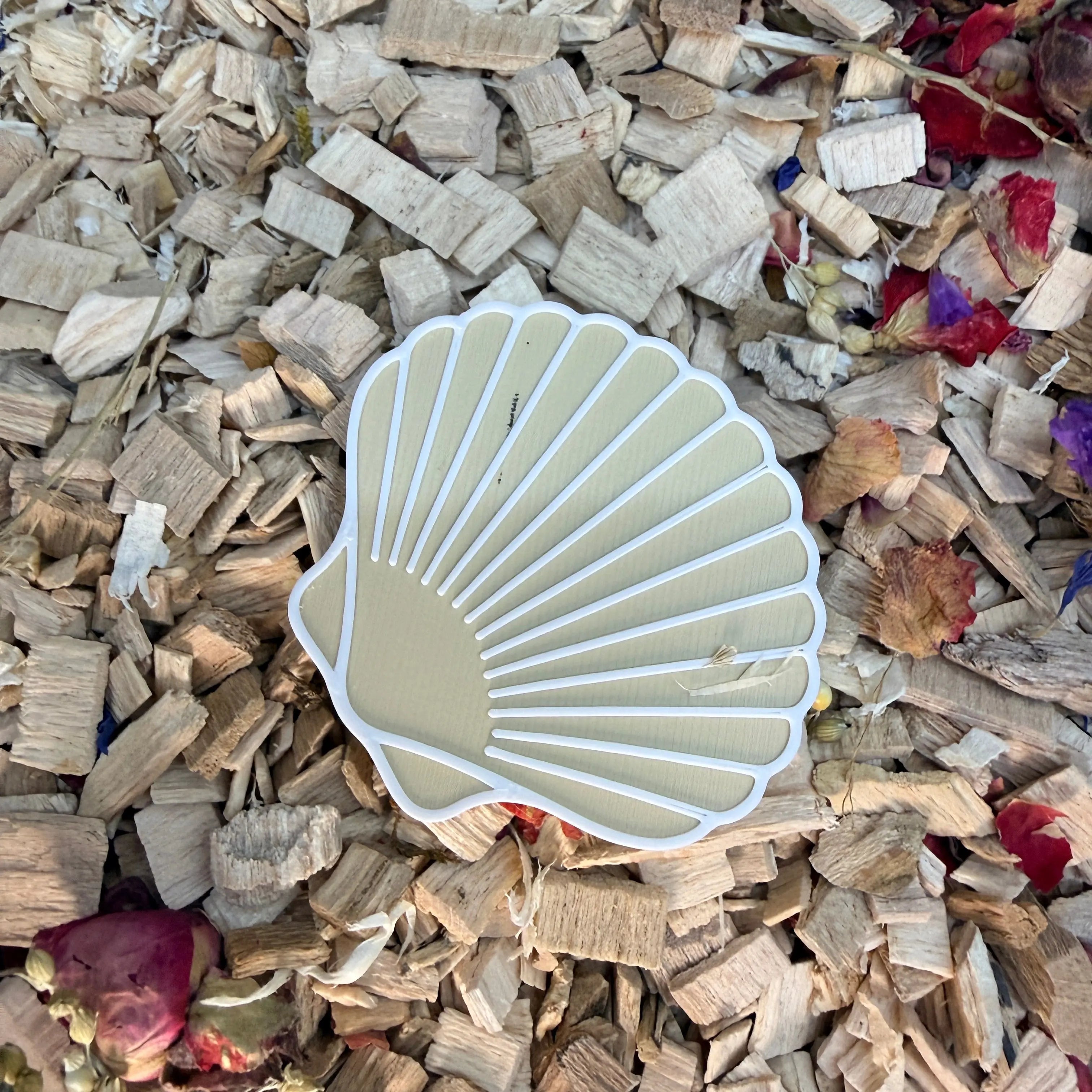 Seashell Stepping Stones – Enclosure Decoration (Set of 3) RoseLark Pet Products