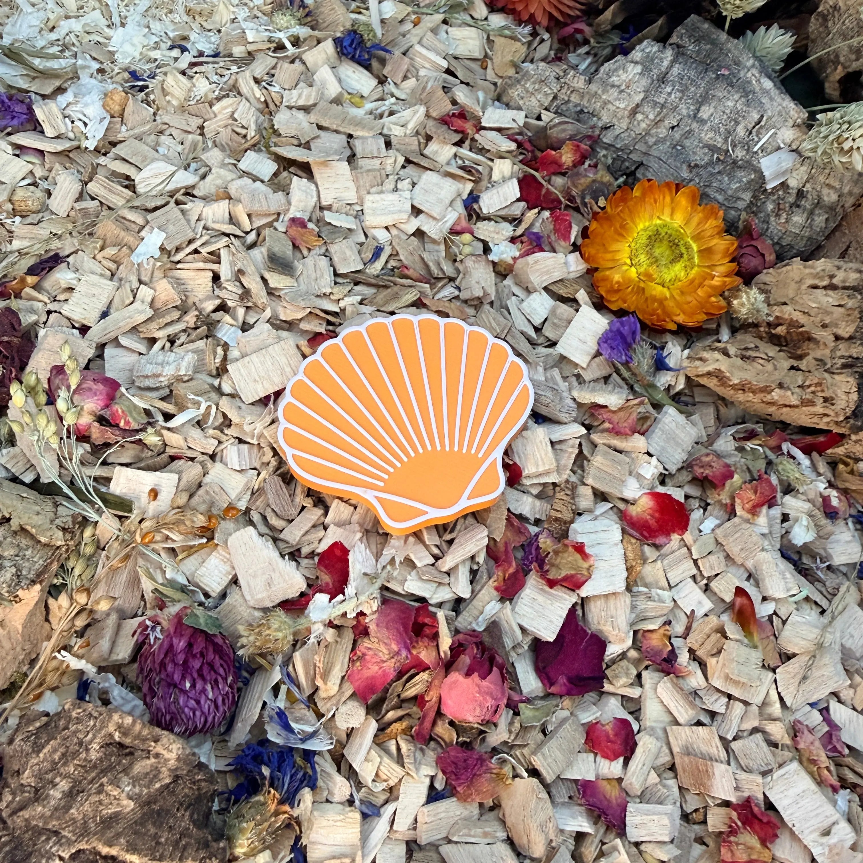 Seashell Stepping Stones – Enclosure Decoration (Set of 3) RoseLark Pet Products