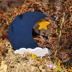 hamster dig box, hamster digging box, hamster sand dig box, hamster dig box UK