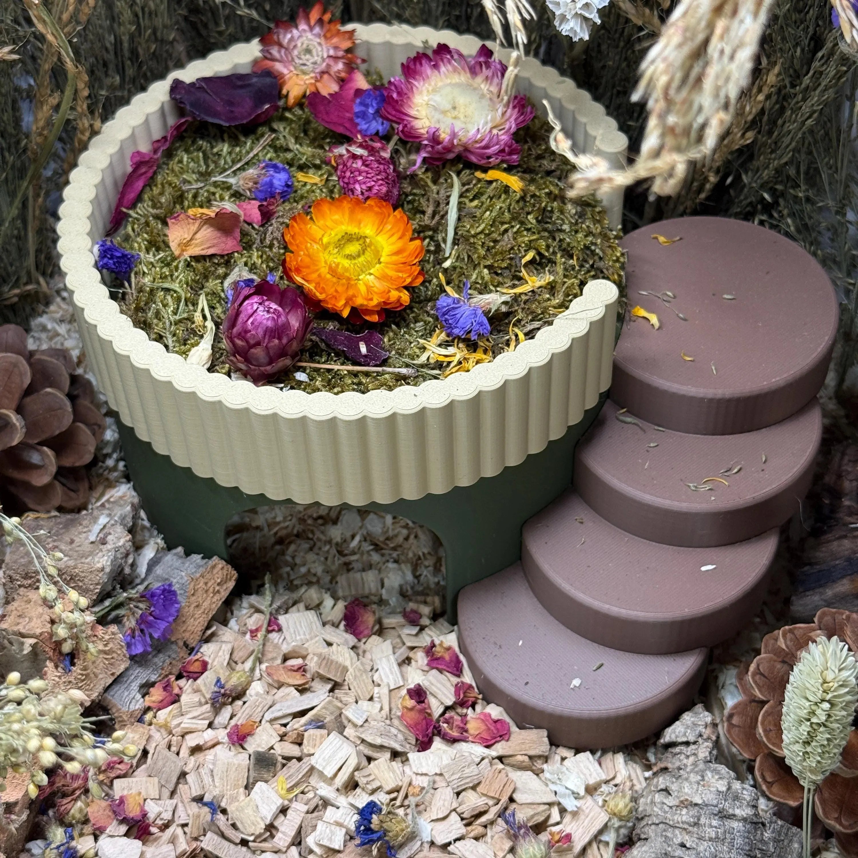 hamster habitat hideout with steps and platform