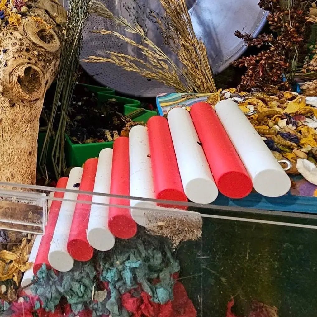 Bridge Candy Cane Lane Bendy Bridge RoseLark Pet Products