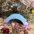 Bridge Cupcake Bridge RoseLark Pet Products