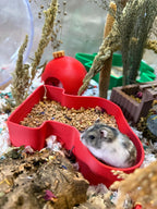 hamster dig box, hamster digging box, hamster sand dig box, hamster dig box UK, Christmas hamster toy, santa stocking pet toy