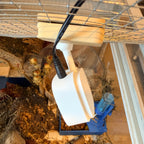 Camera Mount Enclosure Camera Mount – Magnetic Mesh Lid Mount for Tapo C100, C110 & TC60 RoseLark Pet Products