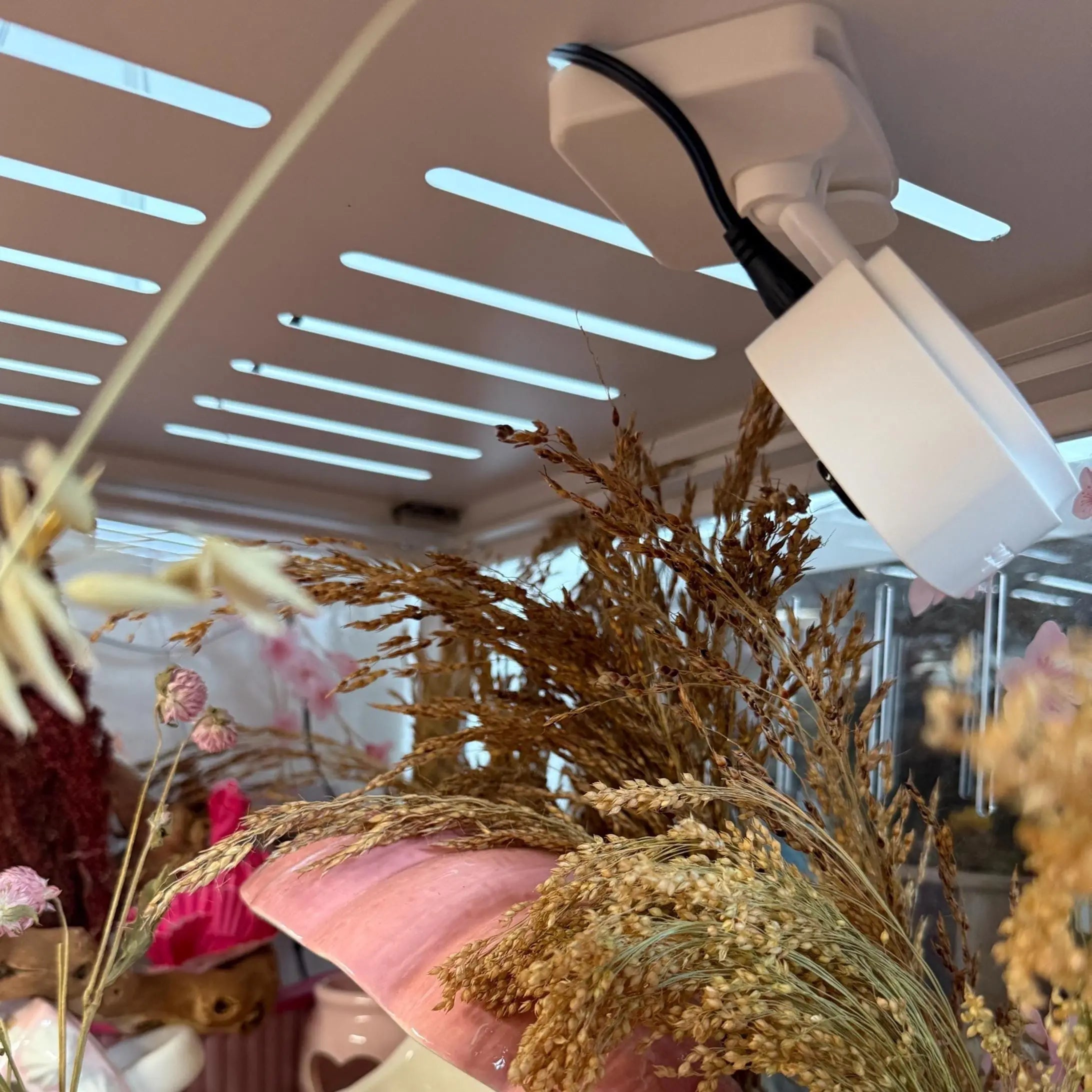 Camera Mount Hamster Enclosure Camera Mount – Magnetic Lid Mount for Tapo C100, C110 & TC60 RoseLark Pet Products