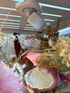 Camera Mount Hamster Enclosure Camera Mount – Magnetic Mount for Blink Mini & Blink Mini 2 Camera RoseLark Pet Products