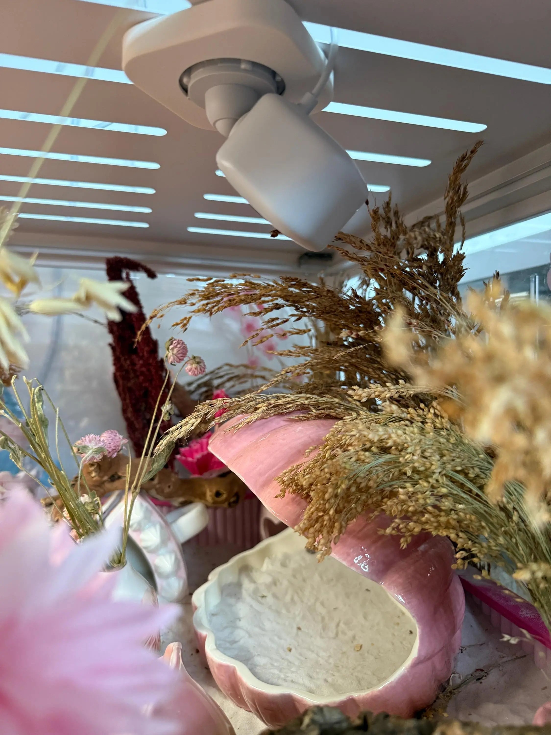 Camera Mount Hamster Enclosure Camera Mount – Magnetic Mount for Blink Mini & Blink Mini 2 Camera RoseLark Pet Products