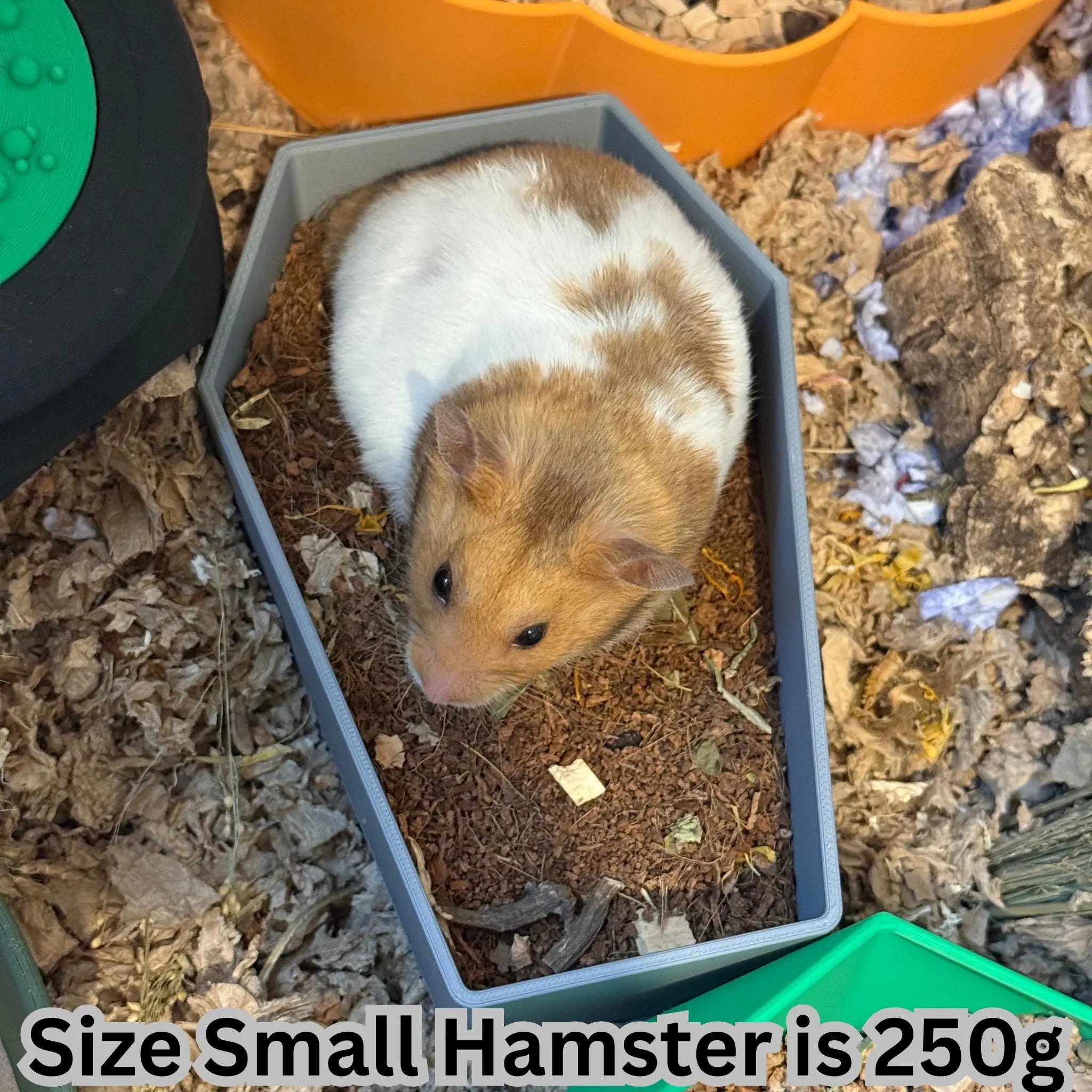 Halloween Hamster toy, Coffin hamster toy, nightmare before Christmas hamster toy, small animal dig box, gerbil dig box, gerbil sand box,  hamster dig box, hamster digging box, hamster sand dig box, hamster dig box UK, Pets at Home, Roselark Pet Products, Mr Mangos Makes
