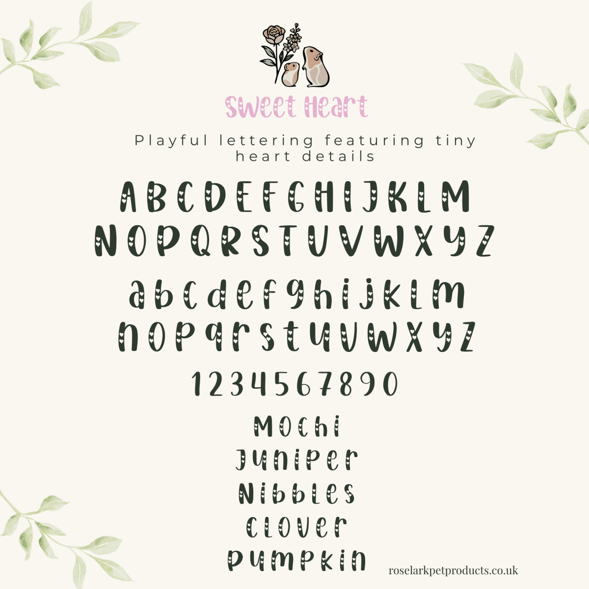 Enclosure Decoration Magnetic Personalised Hamster Name Plaque | RoseLark