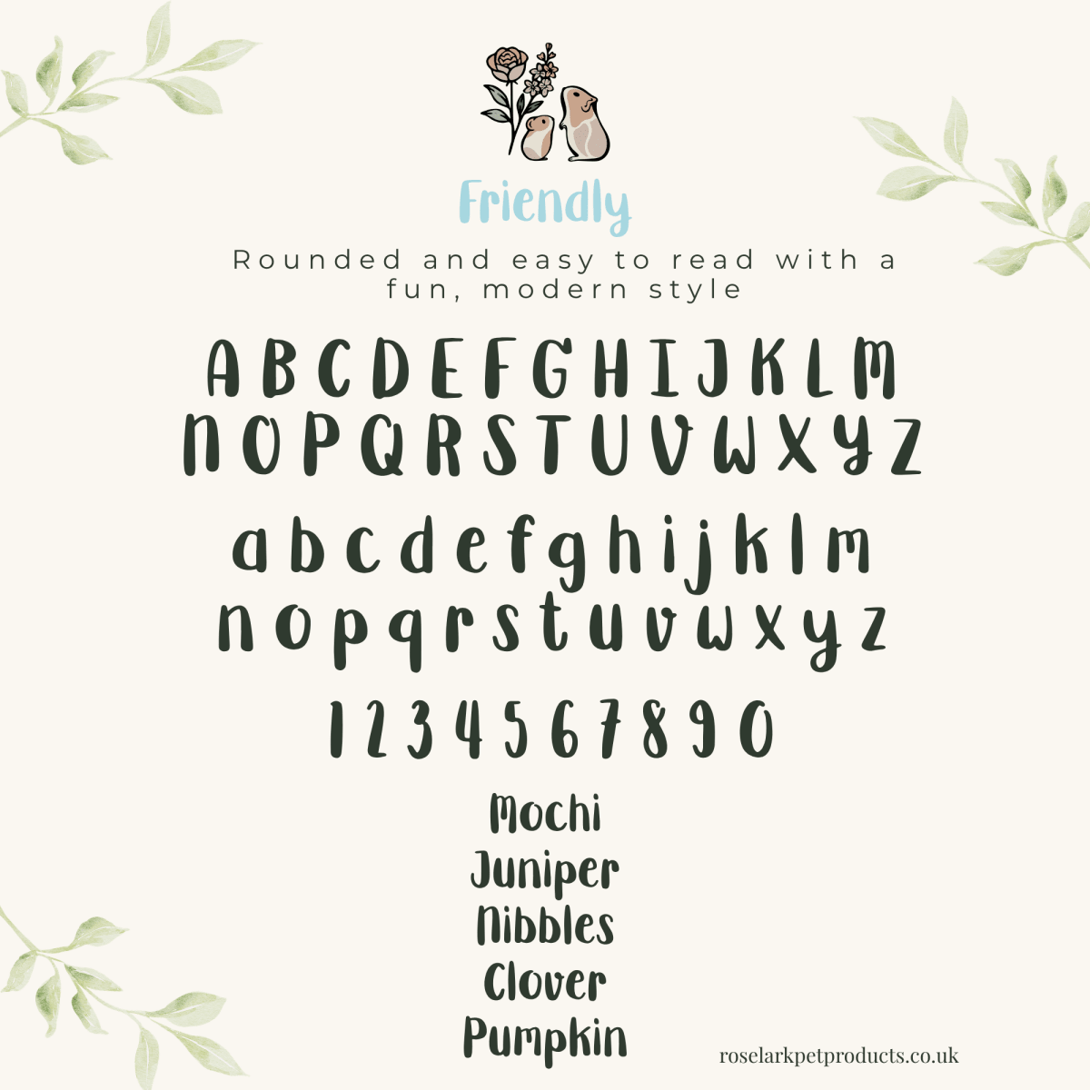 Enclosure Decoration Magnetic Personalised Hamster Name Plaque | RoseLark