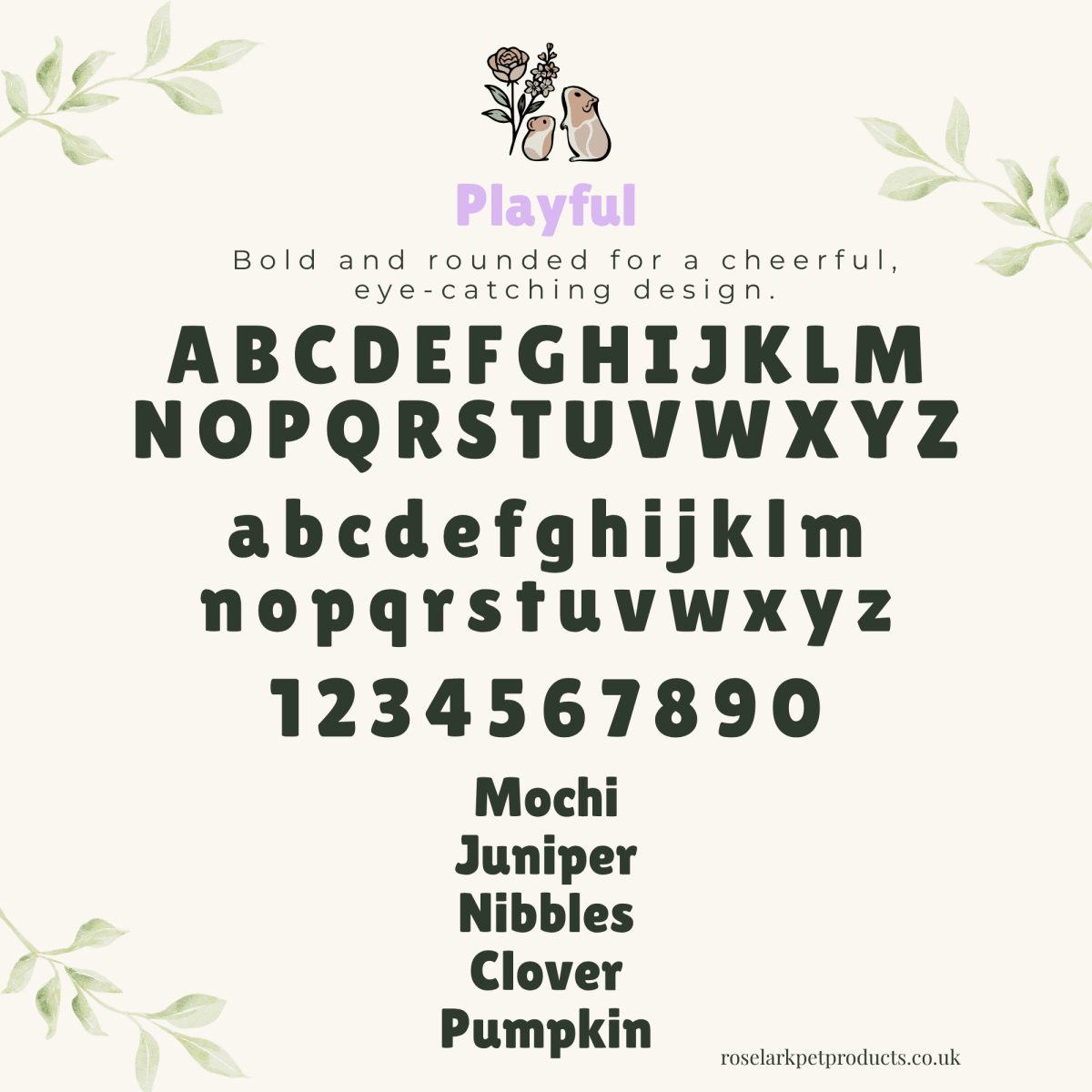 Enclosure Decoration Magnetic Personalised Hamster Name Plaque | RoseLark