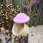 Enrichment Hanging Foraging Ice Cream RoseLark Pet Products