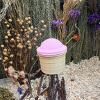 Enrichment Hanging Foraging Ice Cream RoseLark Pet Products