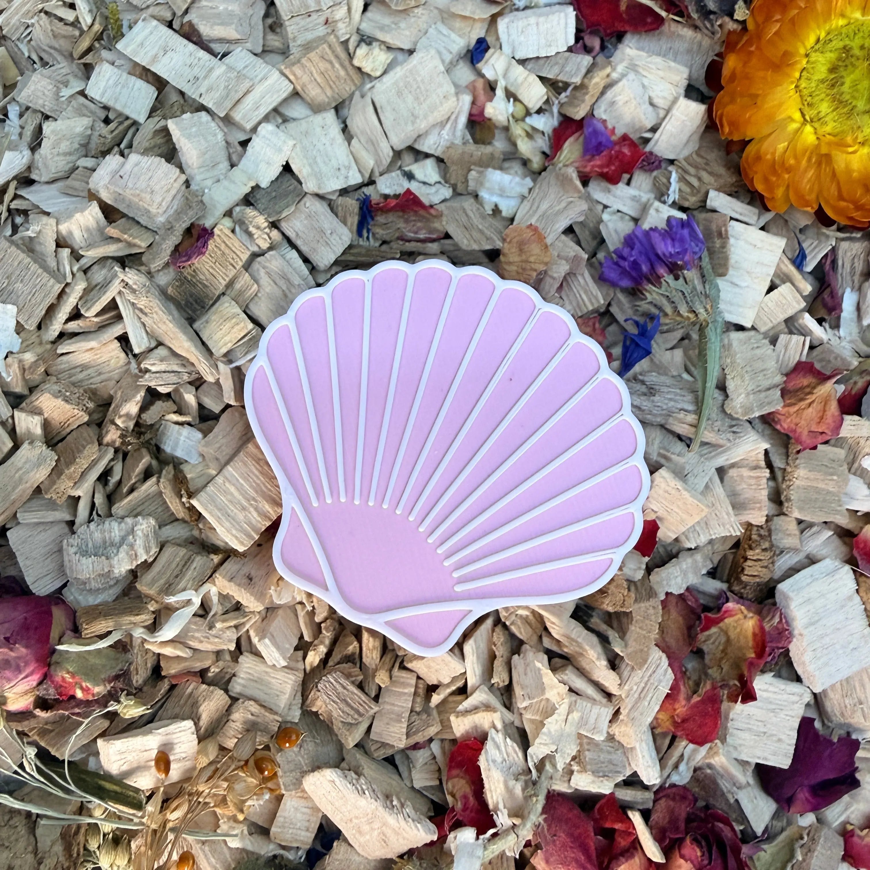 Enrichment Seashell Stepping Stones – Enclosure Decoration (Set of 3) RoseLark Pet Products
