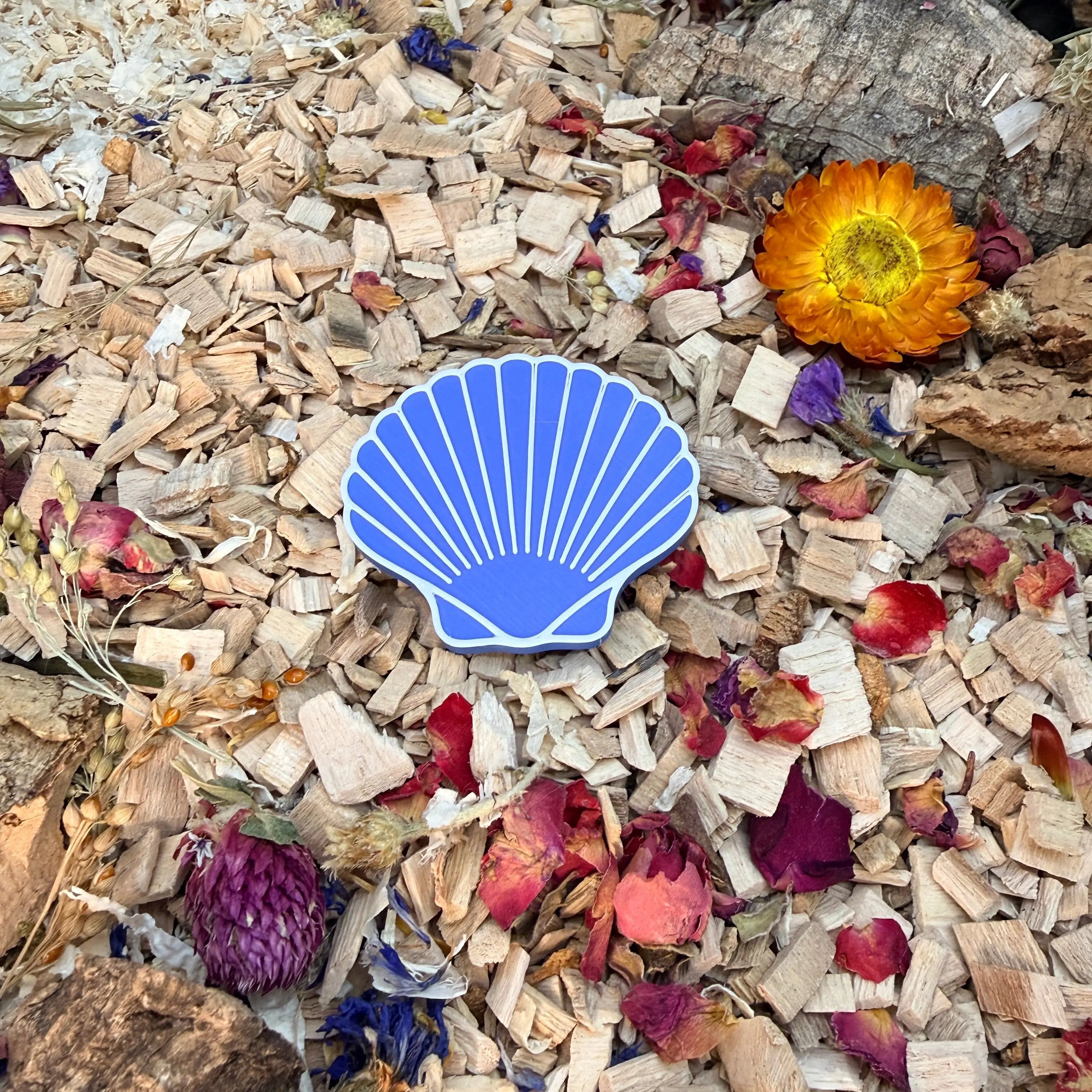Enrichment Seashell Stepping Stones – Enclosure Decoration (Set of 3) RoseLark Pet Products