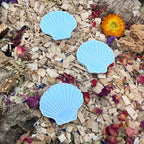 Enrichment Seashell Stepping Stones – Enclosure Decoration (Set of 3) RoseLark Pet Products
