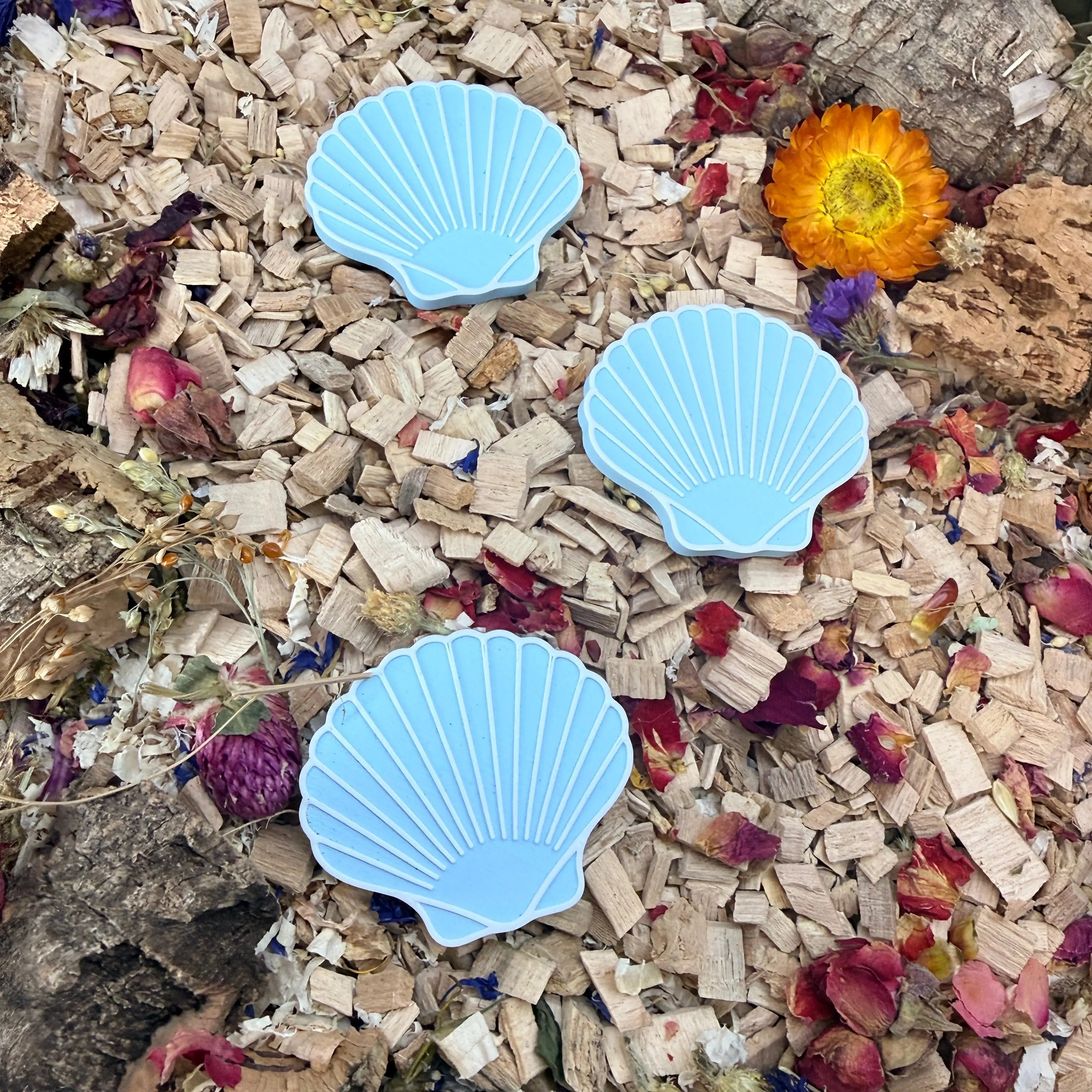 Enrichment Seashell Stepping Stones – Enclosure Decoration (Set of 3) RoseLark Pet Products