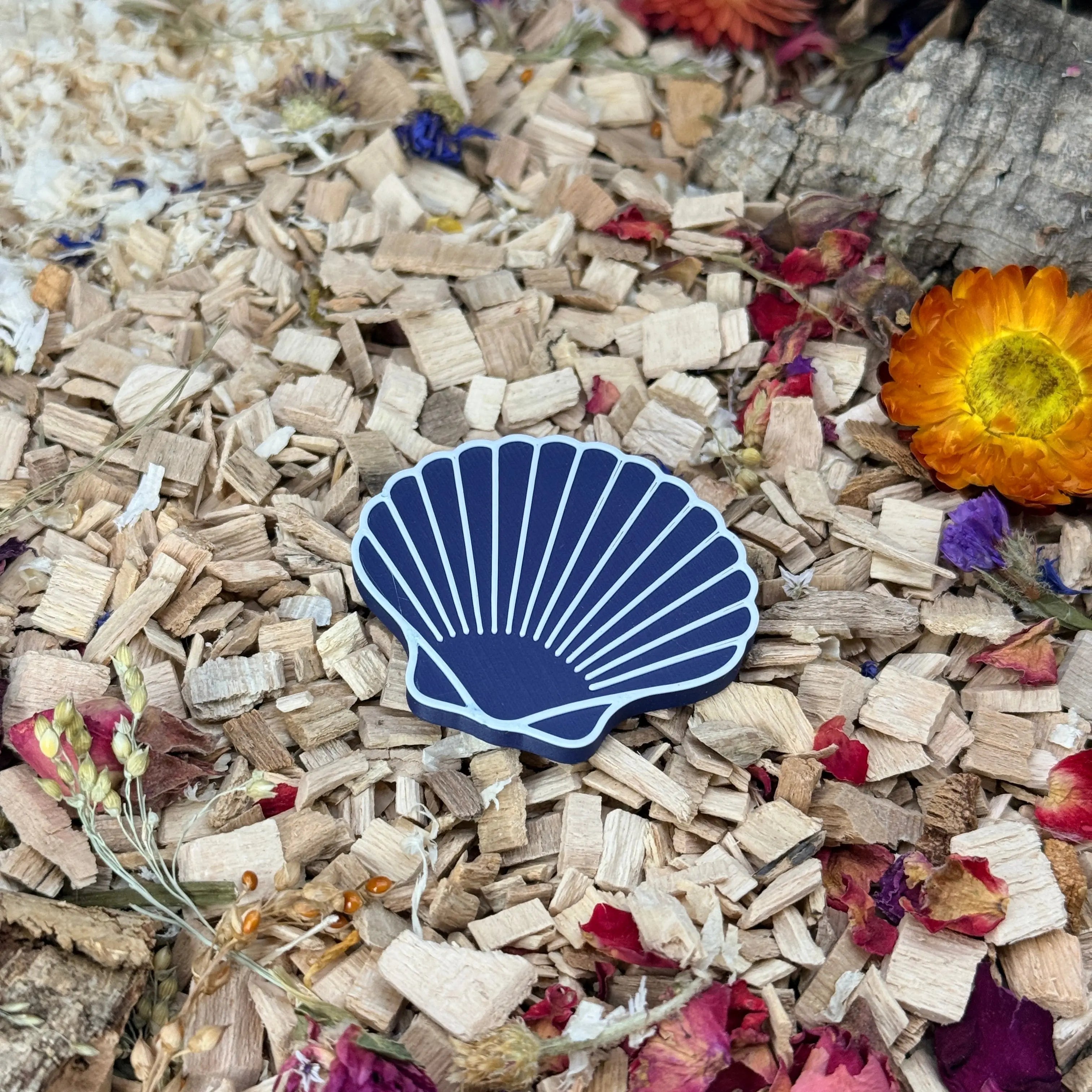 Enrichment Seashell Stepping Stones – Enclosure Decoration (Set of 3) RoseLark Pet Products