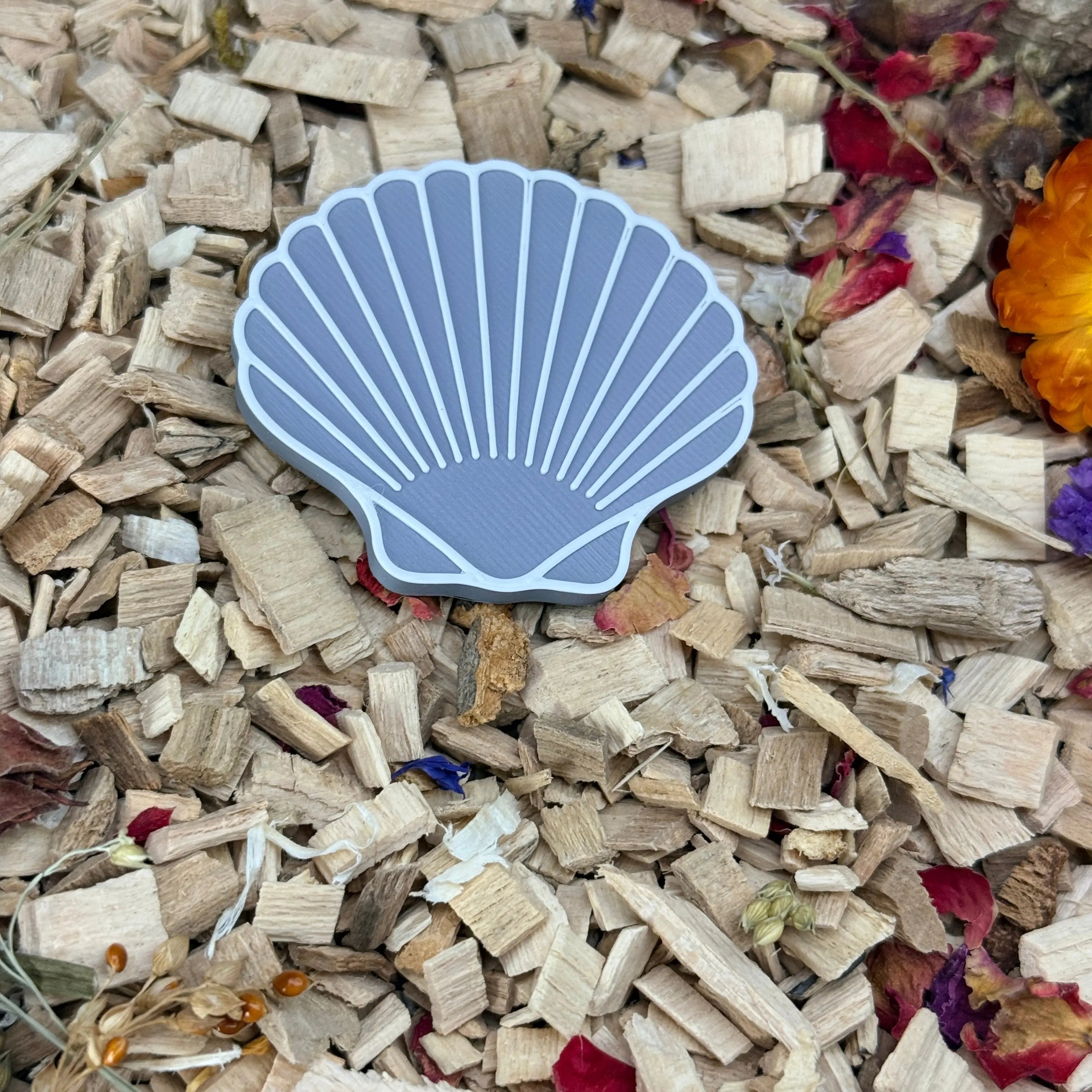 Enrichment Seashell Stepping Stones – Enclosure Decoration (Set of 3) RoseLark Pet Products